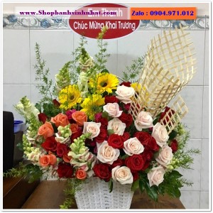 Hoa Tươi Tặng Khai Trương - OK11